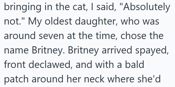 bringing in the cat, I said, "Absolutely not." My oldest daughter, who was around seven at the time, chose the name Britney. Britney arrived spayed, front declawed, and with a bald patch around her neck where she'd