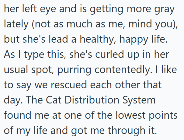 her left eye and is getting more gray lately (not as much as me, mind you), but she's lead a healthy, happy life. As I type this, she's curled up in her usual spot, purring contentedly. I like to say we rescued each other that day. The Cat Distribution System found me at one of the lowest points of my life and got me through it.
