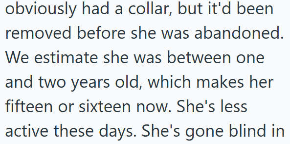 obviously had a collar, but it'd been removed before she was abandoned. We estimate she was between one and two years old, which makes her fifteen or sixteen now. She's less active these days. She's gone blind in