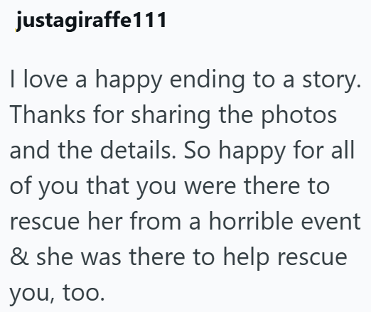 justagiraffe111 I love a happy ending to a story. Thanks for sharing the photos and the details. So happy for all of you that you were there to rescue her from a horrible event & she was there to help rescue you, too.