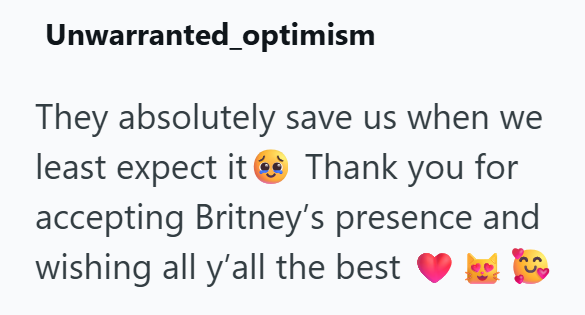 Unwarranted optimism They absolutely save us when we least expect it Thank you for accepting Britney's presence and wishing all y'all the best