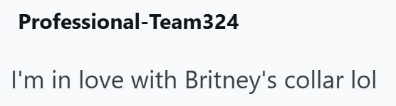 Professional-Team324 I'm in love with Britney's collar lol