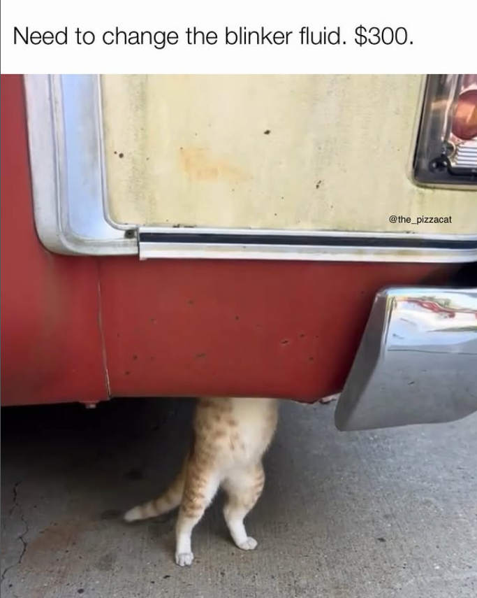Need to change the blinker fluid. $300. @the_pizzacat