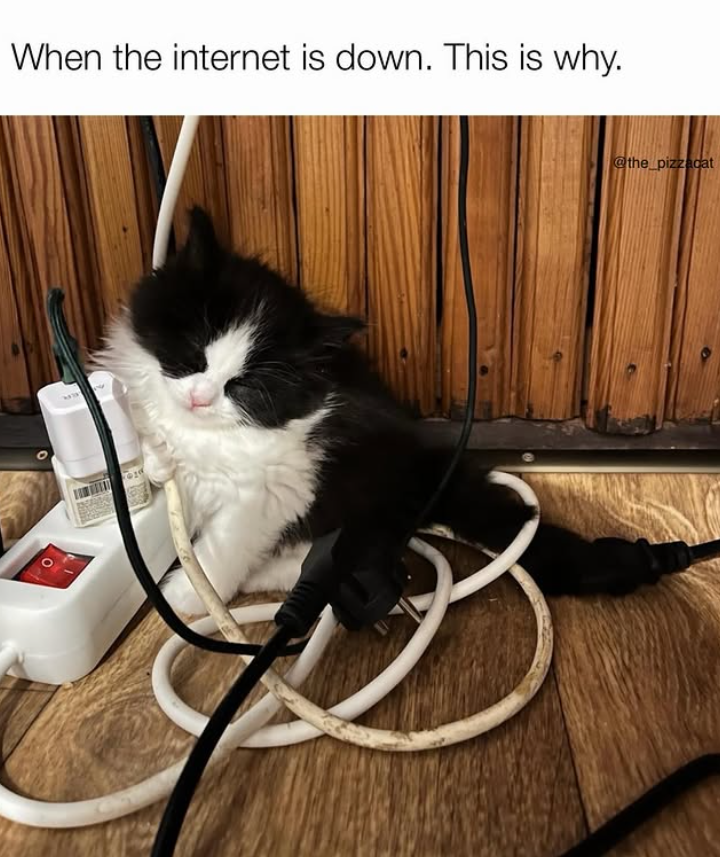 When the internet is down. This is why. @the_pizzacat