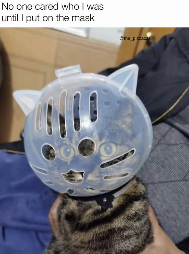 No one cared who I was until I put on the mask @the_pizzacat