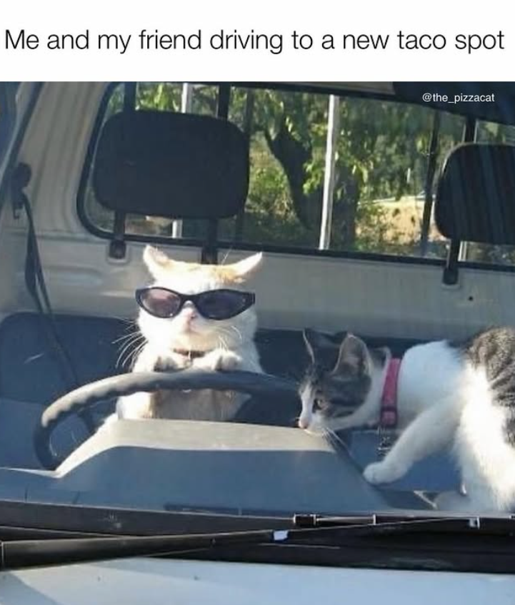 Me and my friend driving to a new taco spot @the_pizzacat
