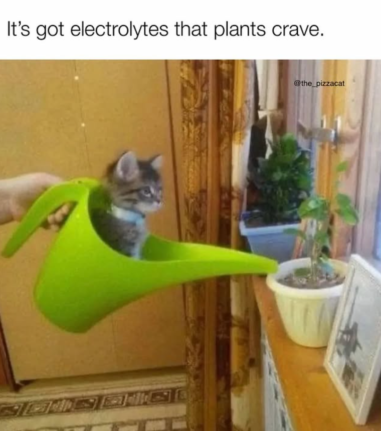 It's got electrolytes that plants crave. @the_pizzacat