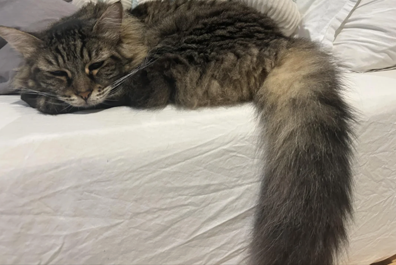 Cheezburger Image 10625594368