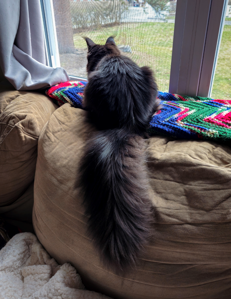 Cheezburger Image 10625599488