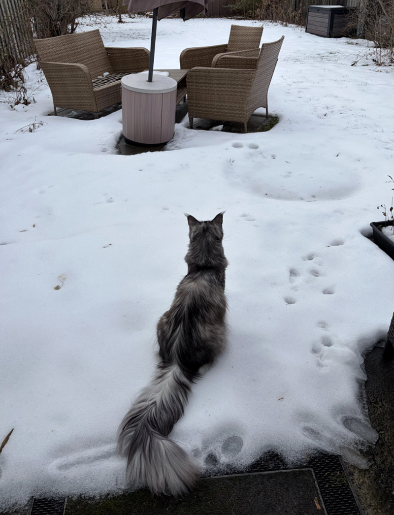 Cheezburger Image 10625600256