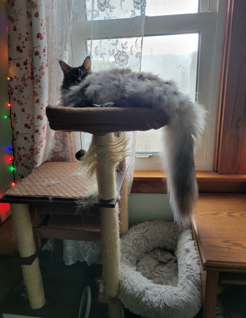 Cheezburger Image 10625600512