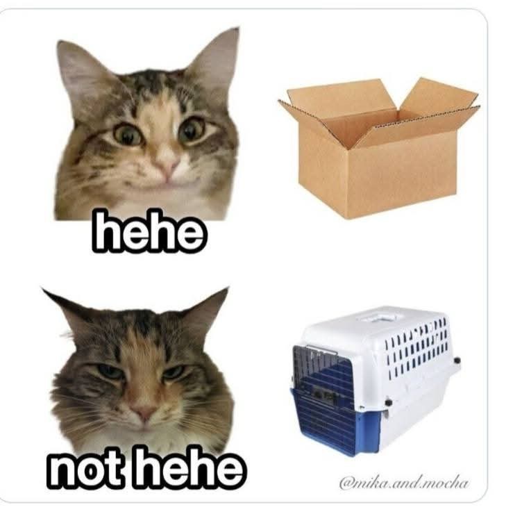 hehe not hehe @mika.and.mocha