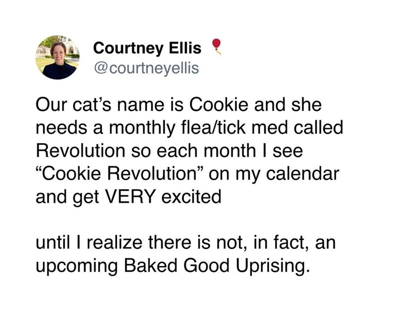 Courtney Ellis @courtneyellis Our cat's name is Cookie and she needs a monthly flea/tick med called Revolution so each month I see "Cookie Revolution" on my calendar and get VERY excited until I realize there is not, in fact, an upcoming Baked Good Uprising.