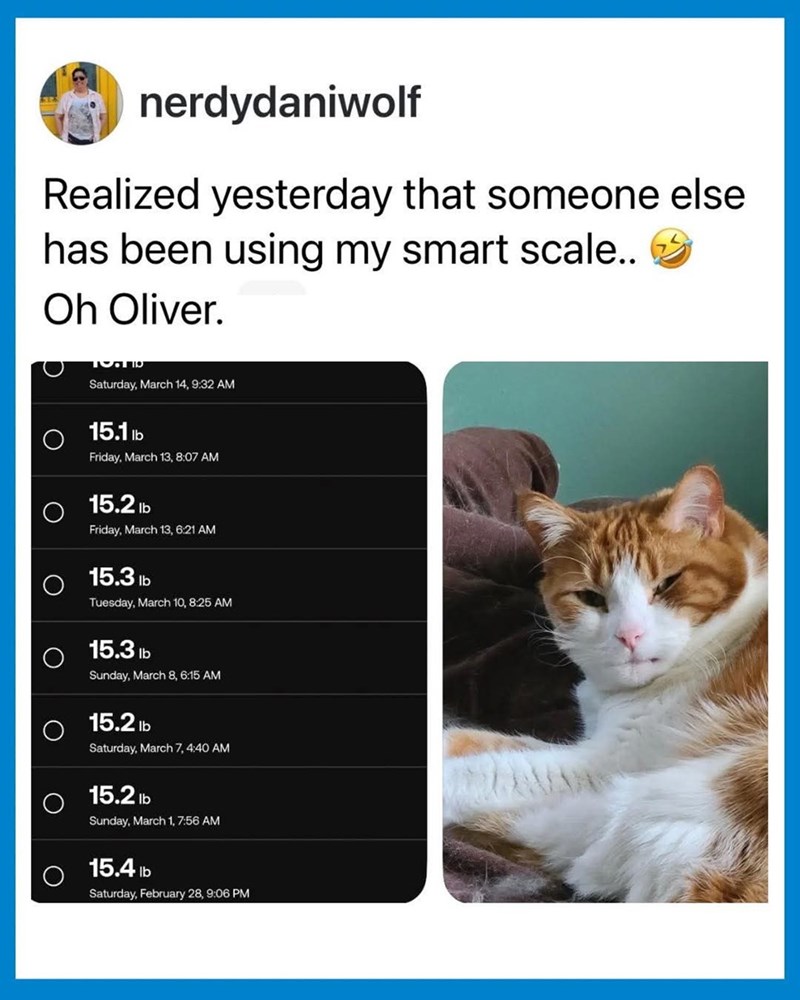 nerdydaniwolf Realized yesterday that someone else has been using my smart scale.. Oh Oliver. Saturday, March 14, 9:32 AM 15.1 lb Friday, March 13, 8:07 AM 15.2 lb Friday, March 13, 6:21 AM 15.3 lb Tuesday, March 10, 8:25 AM 15.3 lb Sunday, March 8, 6:15 AM 15.2 lb Saturday, March 7, 4:40 AM 15.2 lb Sunday, March 1, 7:56 AM 15.4 lb Saturday, February 28, 9:06 PM