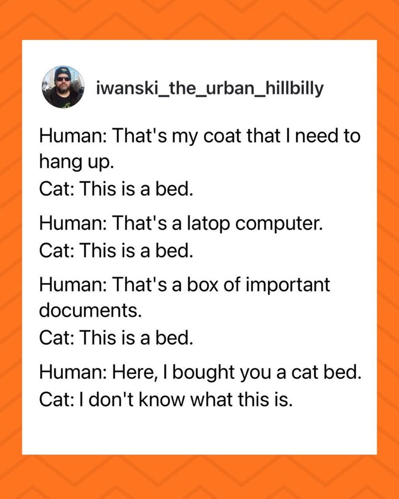iwanski_the_urban_hillbilly Human: That's my coat that I need to hang up. Cat: This is a bed. Human: That's a latop computer. Cat: This is a bed. Human: That's a box of important documents. Cat: This is a bed. Human: Here, I bought you a cat bed. Cat: I don't know what this is.