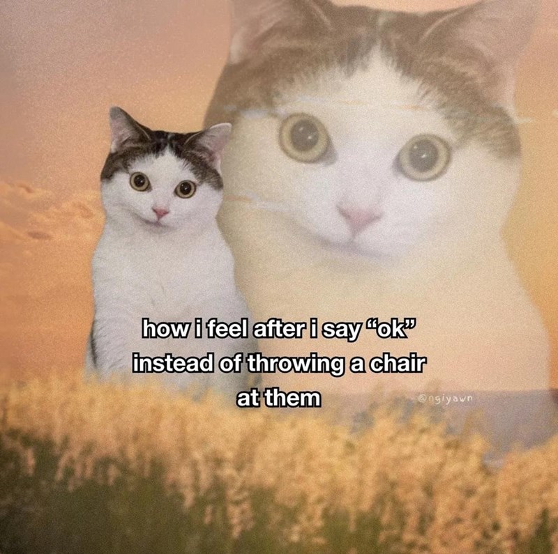 how i feel after i say "ok" instead of throwing a chair at them @ngiyawn