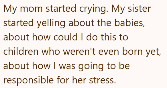 My mom started crying. My sister started yelling about the babies, about how could I do this to children who weren't even born yet, about how I was going to be responsible for her stress.