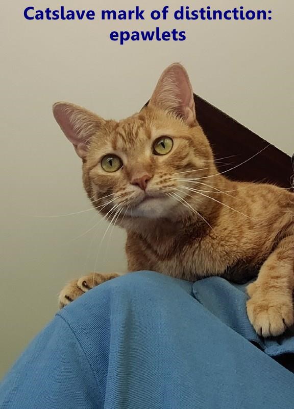 Cheezburger Image 10625627648