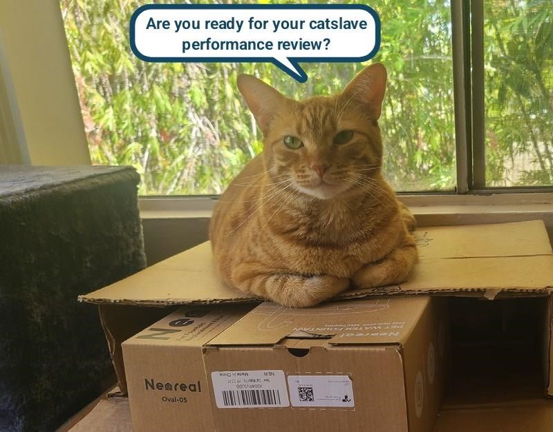 Cheezburger Image 10625630720