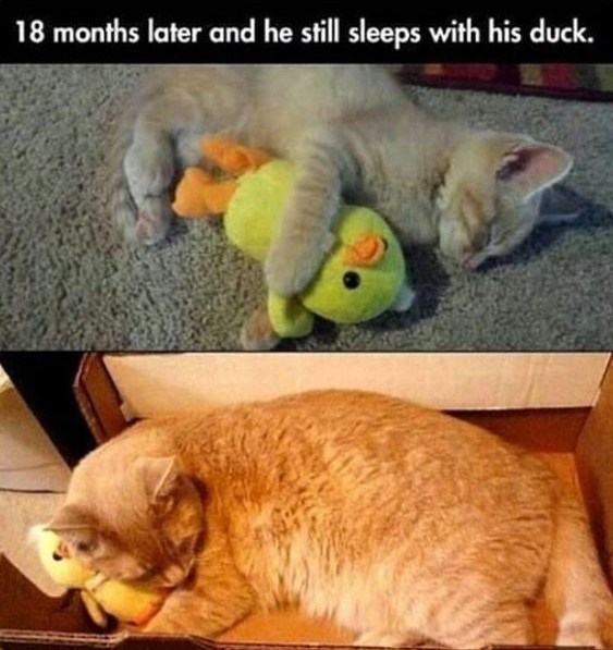 18 months later and he still sleeps with his duck.
