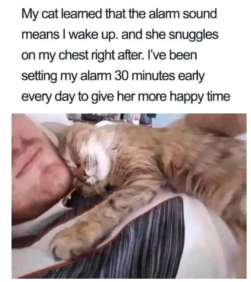 My cat learned that the alarm sound means I wake up. and she snuggles on my chest right after. I've been setting my alarm 30 minutes early every day to give her more happy time