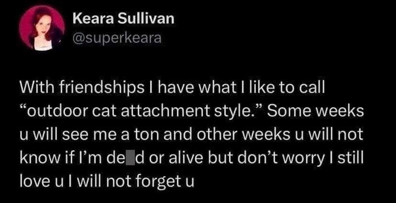 Keara Sullivan @superkeara With friendships I have what I like to call "outdoor cat attachment style." Some weeks u will see me a ton and other weeks u will not know if I'm de d or alive but don't worry I still love u I will not forget u