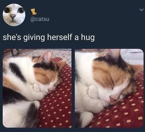 @catsu she's giving herself a hug