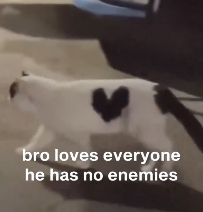 bro loves everyone he has no enemies