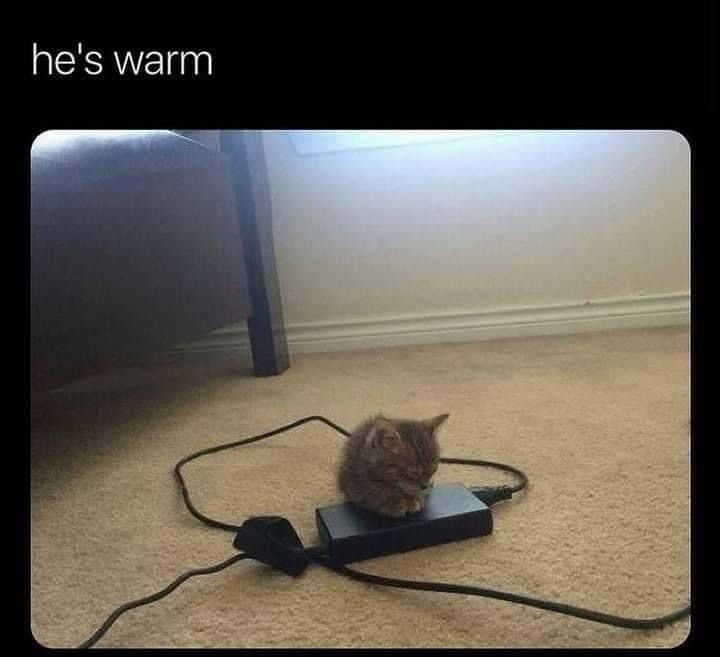 he's warm