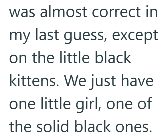 was almost correct in my last guess, except on the little black kittens. We just have one little girl, one of the solid black ones.