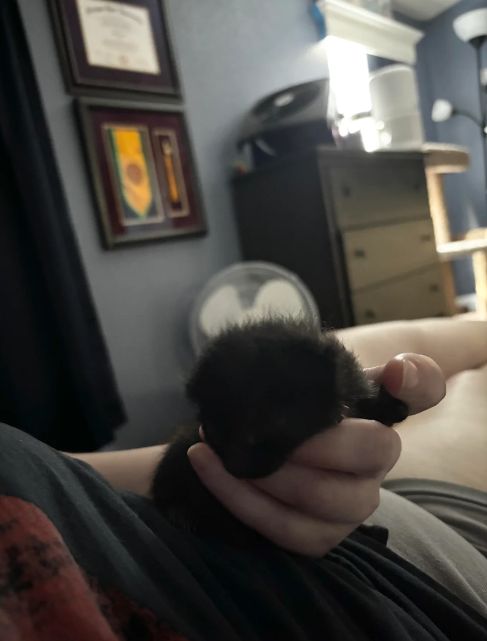 Cheezburger Image 10625647104