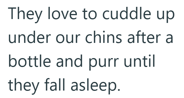 They love to cuddle up under our chins after a bottle and purr until they fall asleep.