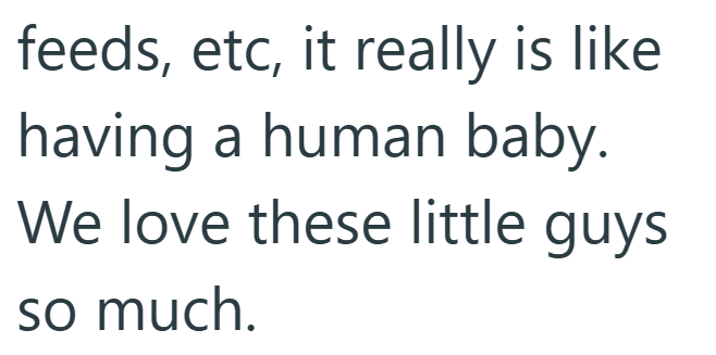 feeds, etc, it really is like having a human baby. We love these little guys so much.