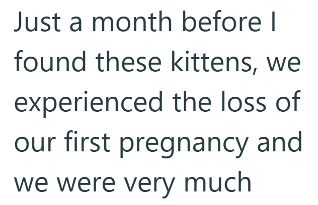 Just a month before I found these kittens, we experienced the loss of our first pregnancy and we were very much