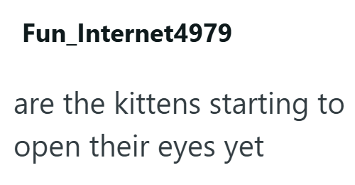 Fun_Internet4979 are the kittens starting to open their eyes yet