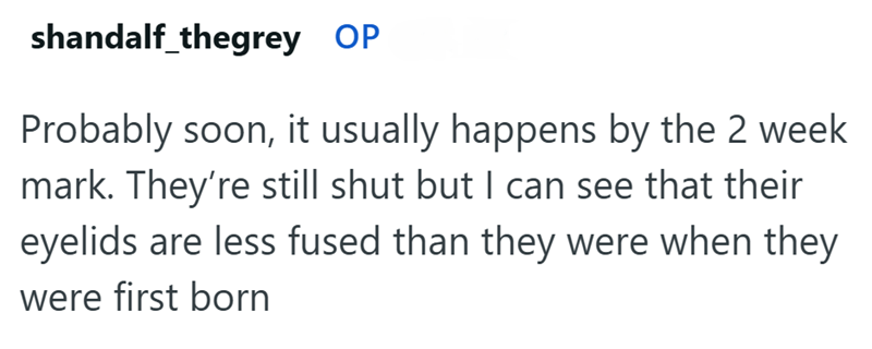 shandalf_thegrey OP Probably soon, it usually happens by the 2 week mark. They're still shut but I can see that their eyelids are less fused than they were when they were first born