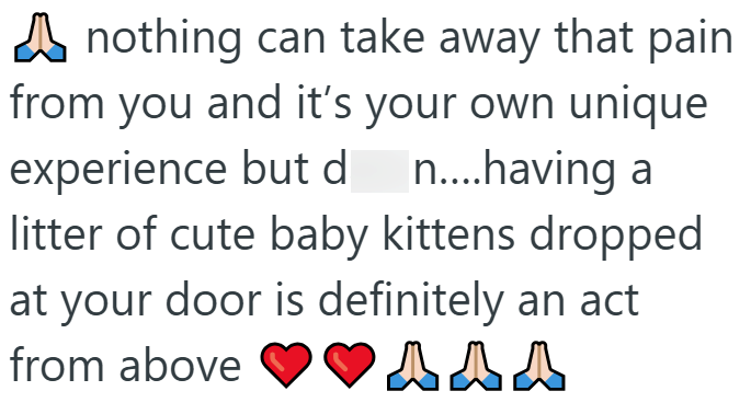 nothing can take away that pain from you and it's your own unique experience but d n....having a litter of cute baby kittens dropped at your door is definitely an act from above ❤❤▲▲▲ ДДД