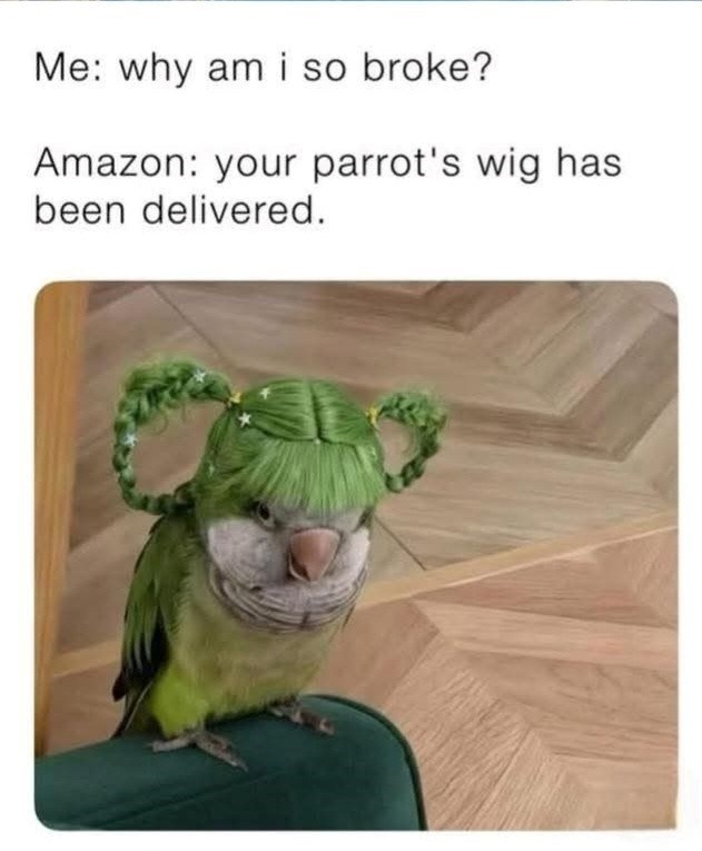 Me: why am i so broke? Amazon: your parrot's wig has been delivered.