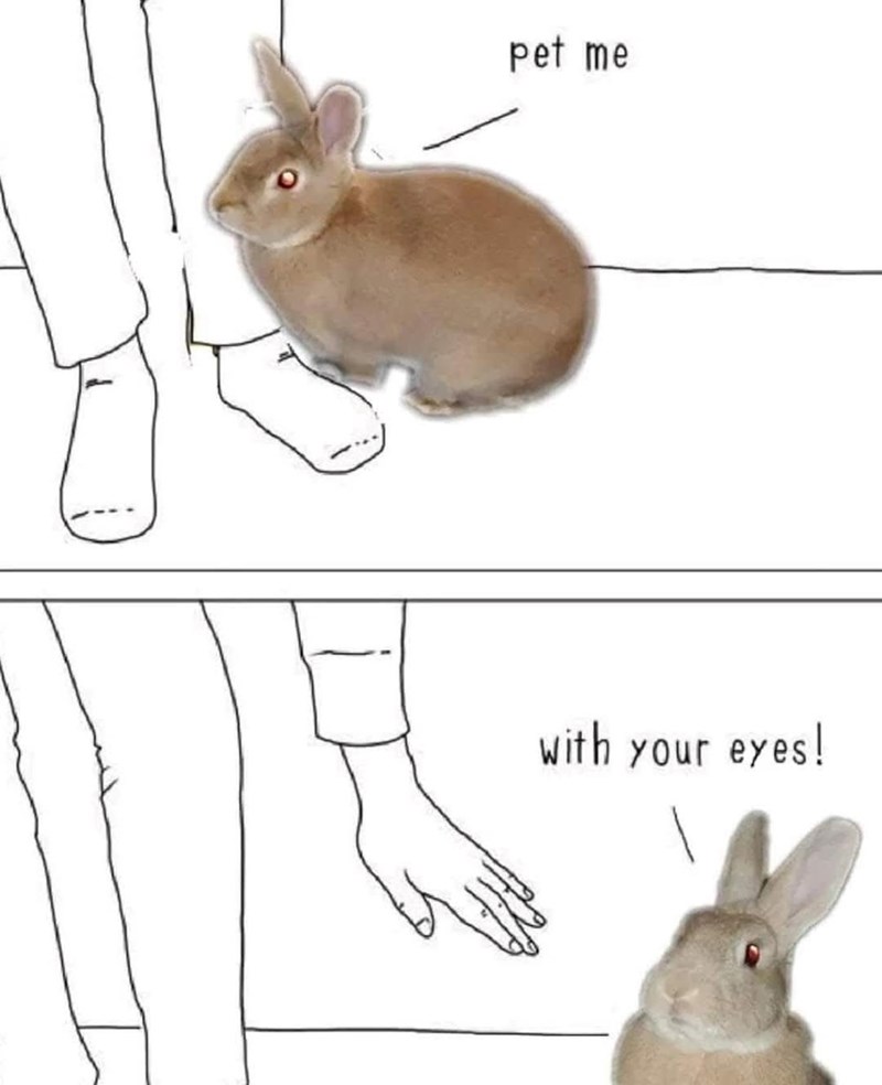 pet me with your eyes!