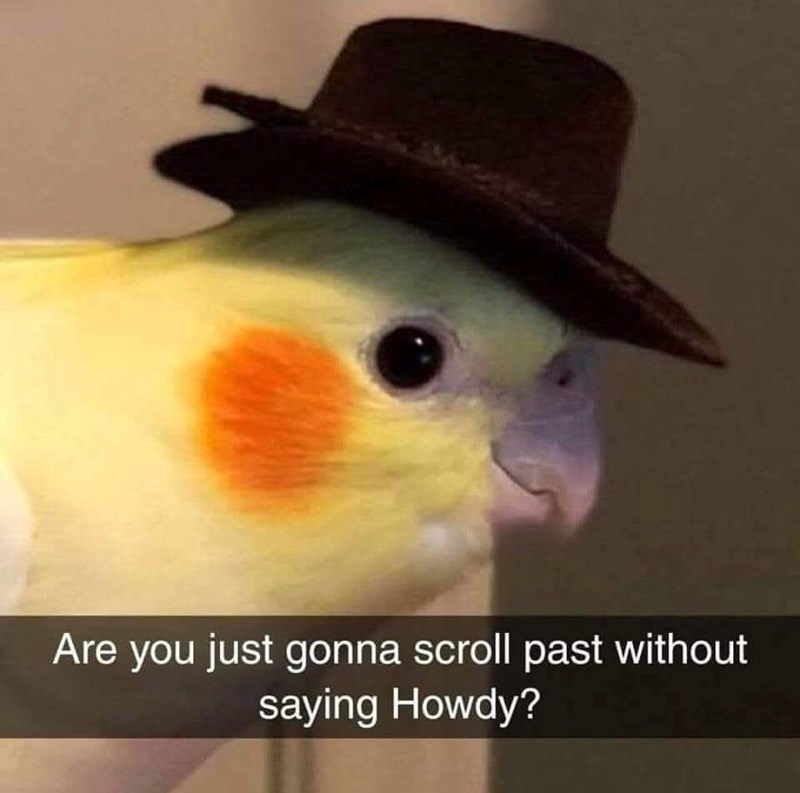 Are you just gonna scroll past without saying Howdy?