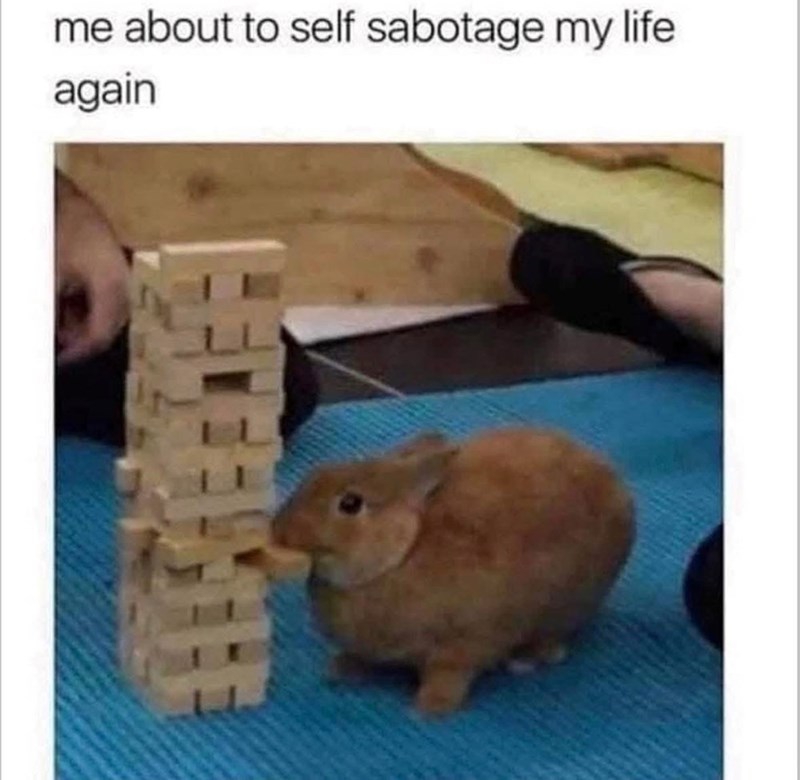 me about to self sabotage my life again