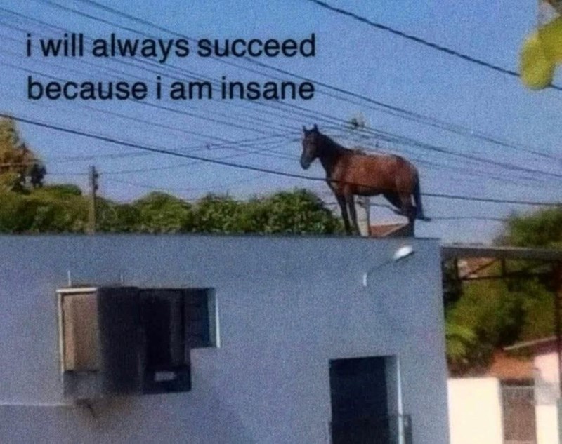 i will always succeed because i am insane
