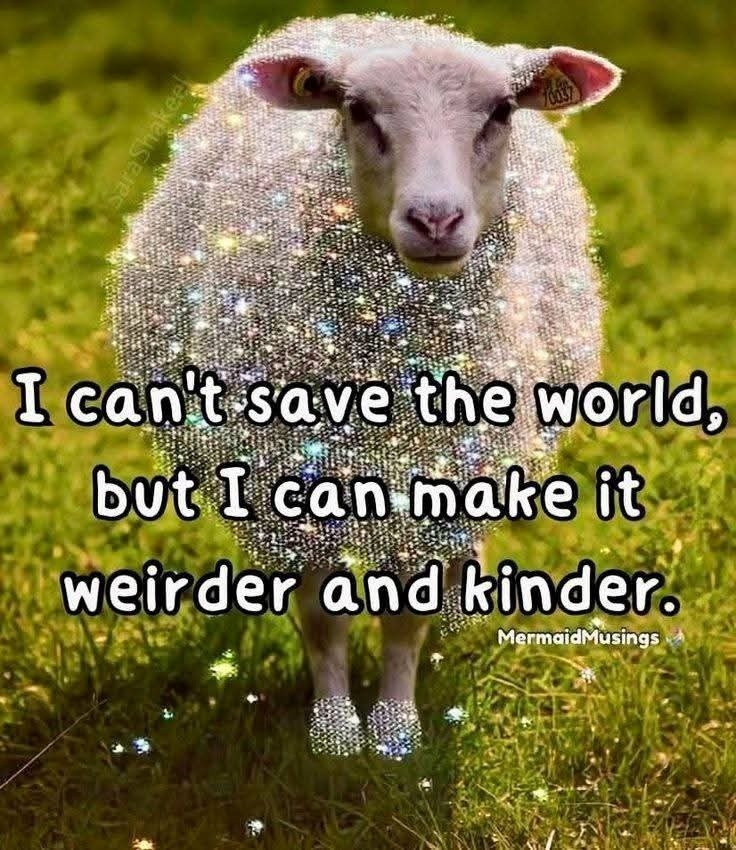 SaraShaked 70037 I can't save the world, but I can make it weirder and kinder. MermaidMusings