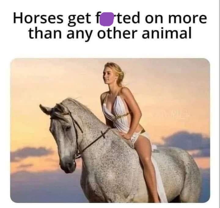 Horses get foted on more than any other animal