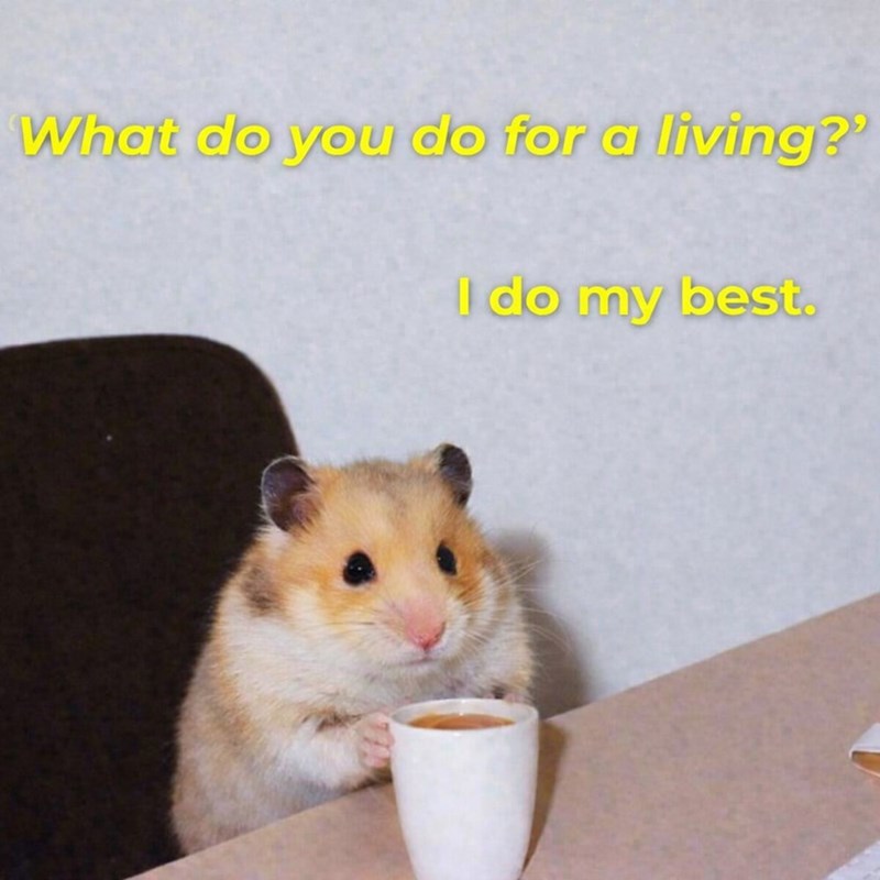 What do you do for a living?' I do my best.