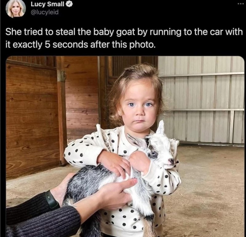 Lucy Small @lucyleid She tried to steal the baby goat by running to the car with it exactly 5 seconds after this photo.