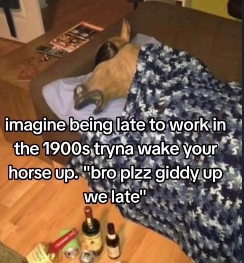 imagine being late to work in the 1900s tryna wake your horse up. "bro plzz giddy up we late"