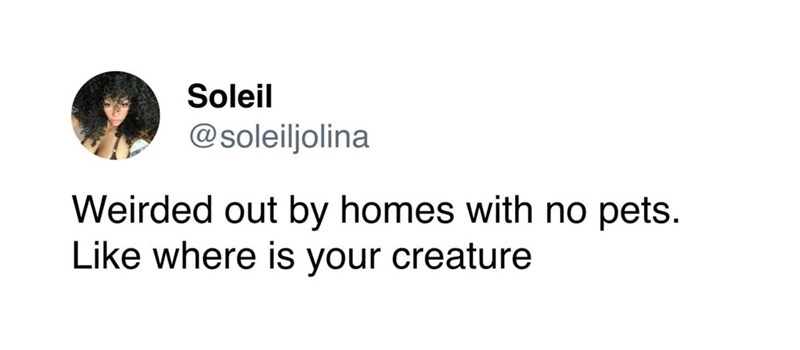 Soleil @soleiljolina Weirded out by homes with no pets. Like where is your creature