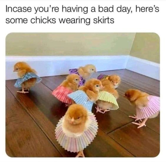 Incase you're having a bad day, here's some chicks wearing skirts