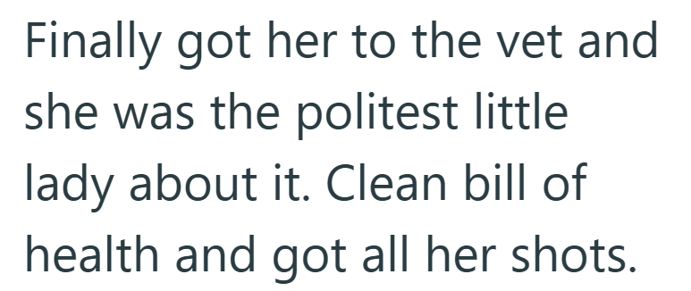 Finally got her to the vet and she was the politest little lady about it. Clean bill of health and got all her shots.